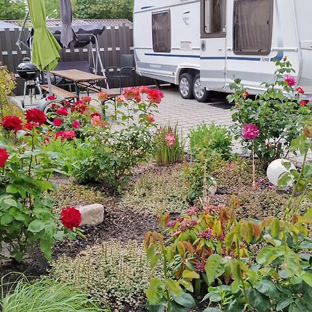 Schoene Neu Erbaute Wohnung Berlin Eksteriør bilde